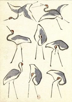 several drawings of birds with long legs and beaks