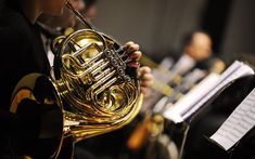 an image of a man playing the french horn in a concert hall with other musicians