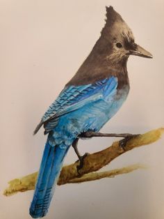 a drawing of a blue bird sitting on a tree branch with yellow and brown leaves