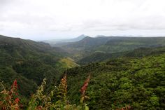 the mountains are covered in lush green vegetation