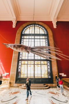 two people are standing in front of a large window with an octopus kite hanging from it's side