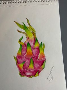 a drawing of a dragon fruit on paper