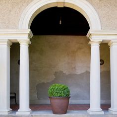 a potted plant sitting in the middle of an archway