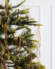 a close up of a christmas tree with lights on it's branches and needles