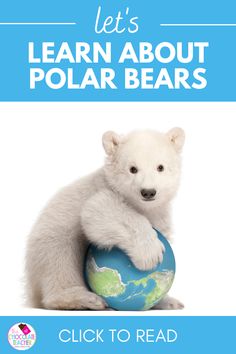 a polar bear holding a globe with the words let's learn about polar bears