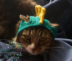 a cat wearing a green knitted hat with a yellow horn on it's head