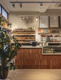 the inside of a bakery with lots of counter space and plants in pots next to it