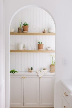 a white kitchen with wooden shelves and plants on the counter top, in front of an arched doorway