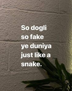 a white brick wall with the words so doglii so fake ye duniya just like a snake