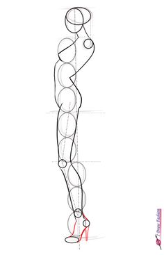 a line drawing of a woman's body and legs, with circles around her