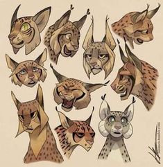 some drawings of different types of animals