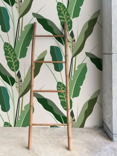 a ladder stands in front of a wall with green leaves on it and a white background