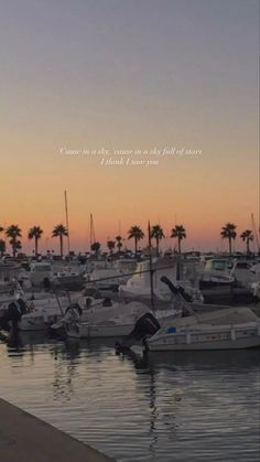 boats are docked in the water at sunset with palm trees behind them and an orange sky