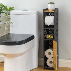 a bathroom with a toilet, plant and tissue dispenser on the floor