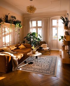 a living room filled with lots of furniture and plants on top of windowsills