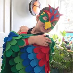 a young boy wearing a colorful bird costume