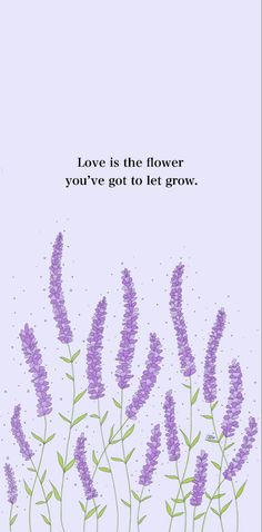 purple flowers with the words love is the flower you've got to let grow