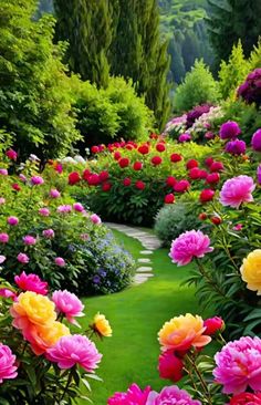 colorful flowers are growing in the middle of a green garden with stone path leading through it