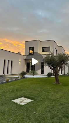 a modern house with an olive tree in the front yard