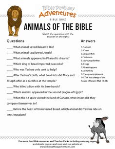 animals of the bible worksheet with answers and questions for kids to learn about them