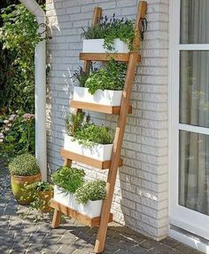 a wooden ladder with plants growing on the side of it and potted plants in front