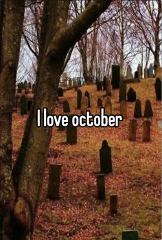 a cemetery with the words i love october on it