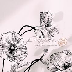 black and white drawing of flowers on a light colored background