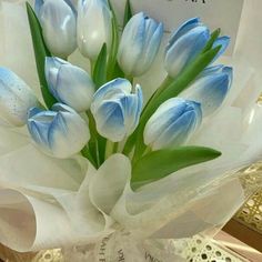 a bouquet of blue and white tulips on display