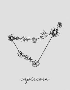 the word capricon written in black ink on a gray background with daisies