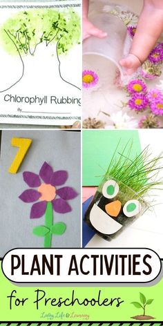 plants and flowers are featured in this collage with the words plant activities for preschoolers