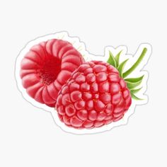 two raspberries sticker on a white background