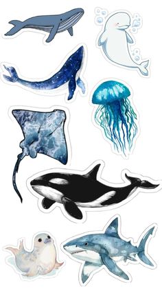 various sea animals stickers are shown in this image, including an orca whale and jellyfish