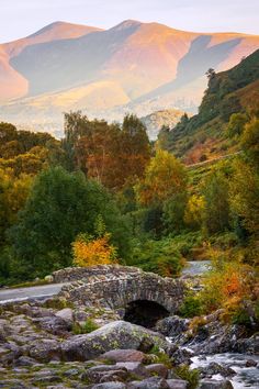 a small stone bridge over a stream in the middle of a forest with mountains in the background