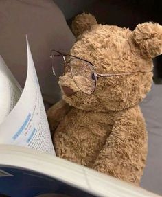 a brown teddy bear wearing glasses reading a book