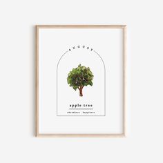 an apple tree in front of a white wall with the words, august on it