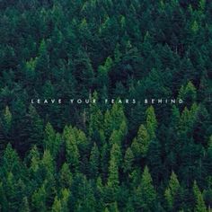 the words leave your tears behind are surrounded by trees