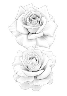 Sleeve Tattoo Drawings, Rose Half Sleeve, Floral Reference, Half Sleeve Tattoos Drawings, Roses Flower, Tattoo Design Book, Love Animation Wallpaper