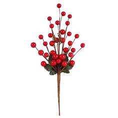 a bouquet of red berries and greenery on a white background