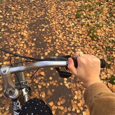 a person riding a bike on a leaf covered road