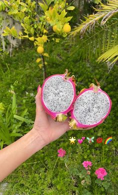 a hand holding two pieces of fruit in front of green plants and flowers on the ground