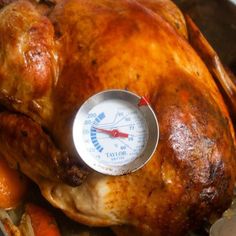 a cooked turkey with thermometer in it