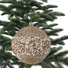 a christmas ornament hanging from a tree branch with nuts and seeds on it