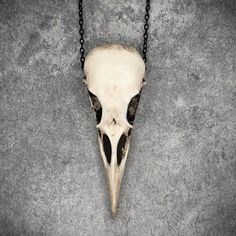 Add a touch of gothic fashion and witchy style to your outfit with a realistic resin skull necklace and start turning heads. This skull pendant is a replica cast from durable urethane resin from a real raven skull. The symbolic meaning of the raven in Native American Indian lore and also Viking lore is one of change and transformation, they are considered to be a bearer of magic and a harbinger of messages from the spirit world. The raven is sometimes considered to be a trickster and is one of the smartest animals on our planet. This bird skull necklace is the perfect piece for everyday wear and is loved by those who celebrate gothic fashion, biker jewelry, creepy jewelry, bone jewelry, Edgar Allen Poe or just think the raven is the most mystical and impressive animal on earth. Measuring 2 Animal Bone Necklace, Goth Necklaces, Creepy Jewelry, Real Bone Jewelry, Animal Bone Jewelry, Bone Accessories, Bird Skull Necklace, Raven Skull Necklace, Witchy Style