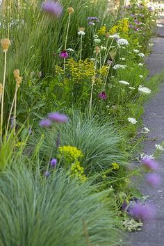 the sidewalk is lined with flowers and grass