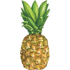 a watercolor painting of a pineapple with green leaves on it's top