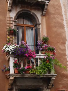 a balcony with flowers and potted plants on the balconies, including geranias