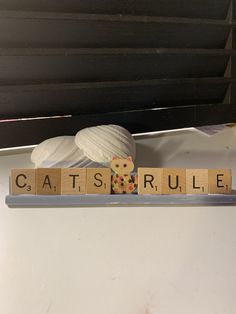 scrabble blocks spelling out the word cat'srule on a shelf