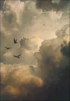 two birds flying in the sky with clouds