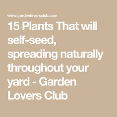 the words 15 plants that will self - seed, spreading naturally throughout your yard garden lovers club