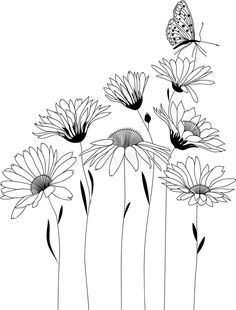 black and white drawing of daisies with butterflies on them stock photo, royalty illustration